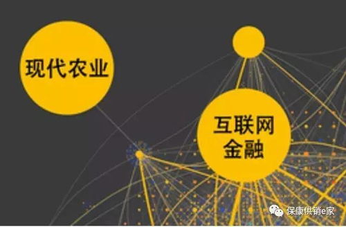 互聯(lián)網(wǎng)+農(nóng)產(chǎn)品業(yè)態(tài) ?？倒╀N社以“五有”模式助力鄉(xiāng)村振興